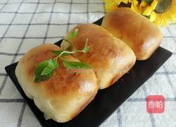 胡萝卜蔬菜面包的做法图解22