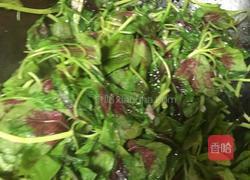 蒜泥米苋的做法图解4