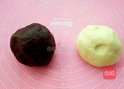 双色饼干的做法图解8