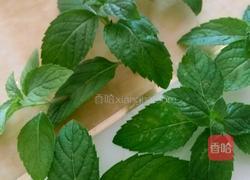 薄荷茶的做法图解1