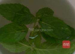 薄荷茶的做法图解2