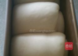 淡奶油吐司的做法图解6