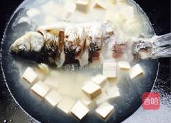 鲫鱼豆腐汤的做法图解6