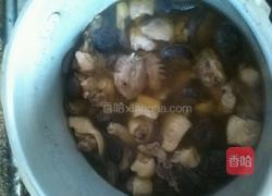 香菇炖鸡的做法图解10