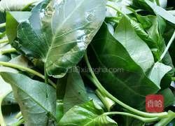 蒜末空心菜的做法图解1