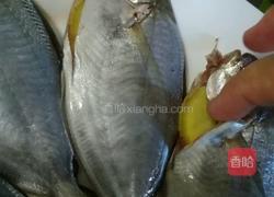 清蒸小海鱼的做法图解2
