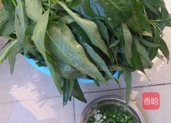 凉拌空心菜的做法图解1