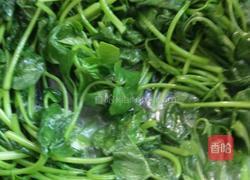 蒜蓉炒红薯叶的做法图解4