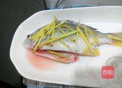 清蒸黄墙的做法图解2