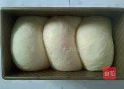 土司面包的做法图解8