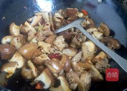 香菇闷土鸡的做法图解5