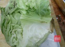 凉调莲花白的做法图解1