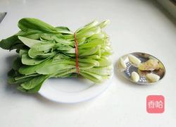蒜蓉小青菜的做法图解1