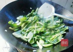 蒜蓉小青菜的做法图解6