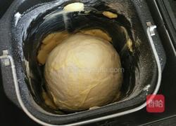 豆沙面包的做法图解5