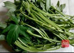 清炒薯藤叶的做法图解1