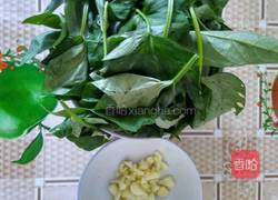 蒜爆地瓜叶的做法图解1