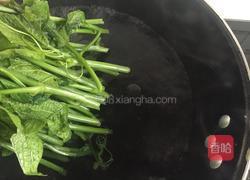 蘸汁南瓜藤的做法图解2