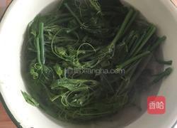 蘸汁南瓜藤的做法图解4