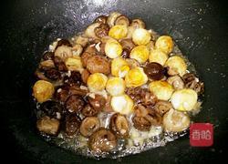 小花菇烧鹌鹑蛋的做法图解8