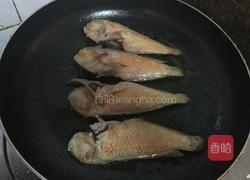 香煎马头鱼的做法图解4