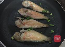香煎马头鱼的做法图解5