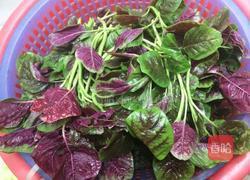 蒜香苋菜的做法图解2