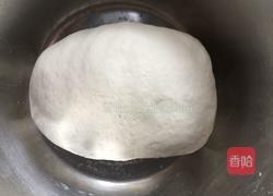 生煎灌汤包的做法图解2