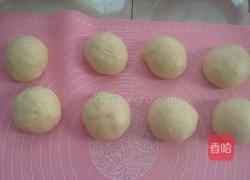 奶香花面包的做法图解5