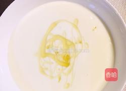 水果坚果酸奶的做法图解5