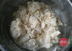 韭菜肉丁水煎包的做法图解3