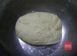 韭菜肉丁水煎包的做法图解4