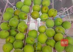 青梅酒的做法图解4