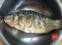 红烧鲫鱼的做法图解1