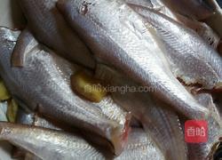 香煎海鱼的做法图解2