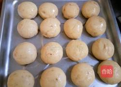 酸奶中种葡萄干小面包的做法图解10