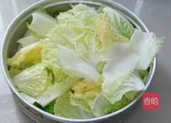 醋溜白菜的做法图解2
