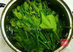白灼丝瓜尖的做法图解3