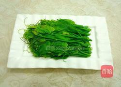 白灼丝瓜尖的做法图解4