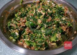 小白菜猪肉饺子的做法图解8