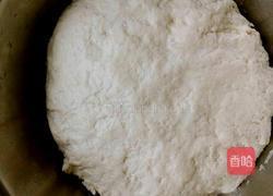 白菜青椒肉包子的做法图解2