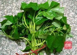 蒸红薯叶的做法图解1