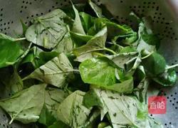 蒸红薯叶的做法图解3