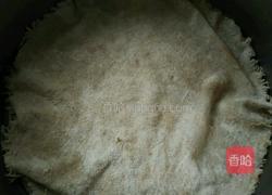 蒸红薯叶的做法图解4