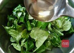 蒸红薯叶的做法图解5