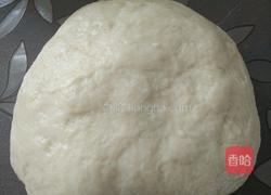 老婆饼(大豆油版)的做法图解2