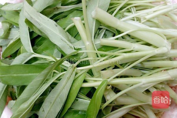 腐乳白通菜的做法_菜谱_香哈网