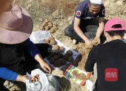 叫花鸡的做法图解1