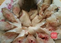 清蒸鲈鱼孔雀开屏鱼的做法图解4