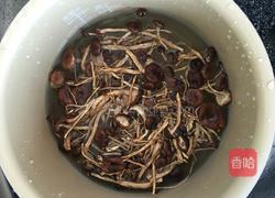 茶树菇炖鹅肉的做法图解1